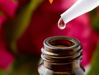 Aceite esencial de Rosa Mosqueta (Rosa Mosqueta) Perfume intenso y dulce. Acciones: antidepresiva, anti inflamatoria, cicatrizante, sedante. Excelente rejuvenecedor, revitaliza la piel, hidratante. 